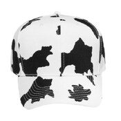 OTTO CAP 6 Panel Mid Profile Baseball Cap