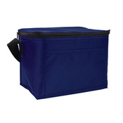 Budget 6-Pack Cooler Bag